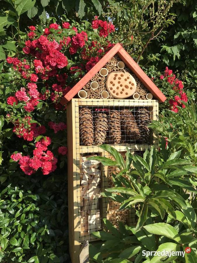 Domek owadów 70 Sławno