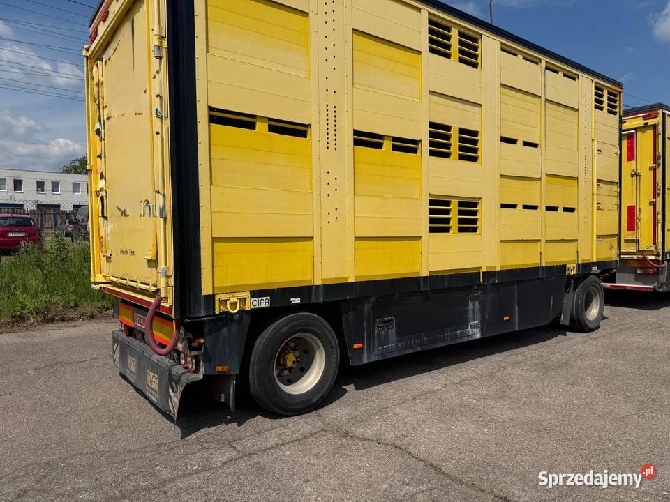 Auto do przewozu bydła żywca zwierząt Volvo FH16 Nowa Ruda