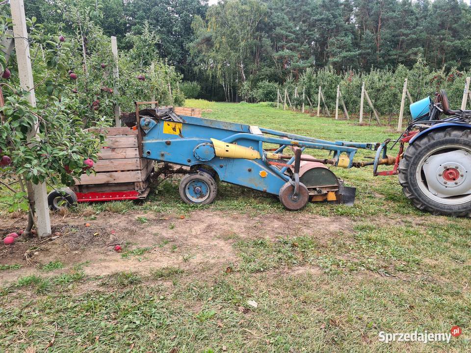 Kombajn do jabłek przemysłowych Gośniewice sprzedam