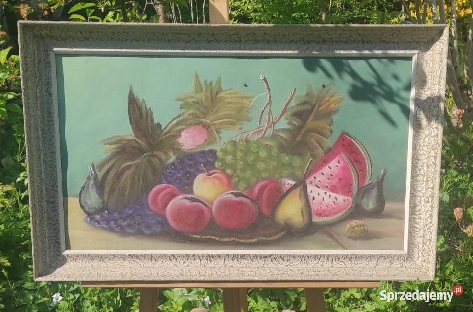 MARTWA NATURA W ORYGINALNEJ STAREJ RAMIE Pabianice sprzedam