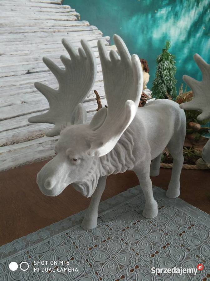 ŁOŚ AKSAMITNY SZARY Straszęcin sprzedam