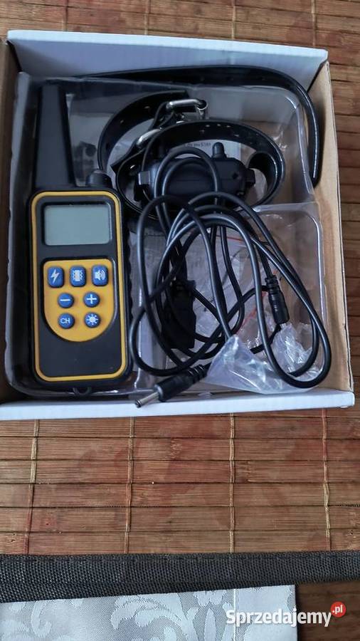 Obroża psa na pilota Częstochowa