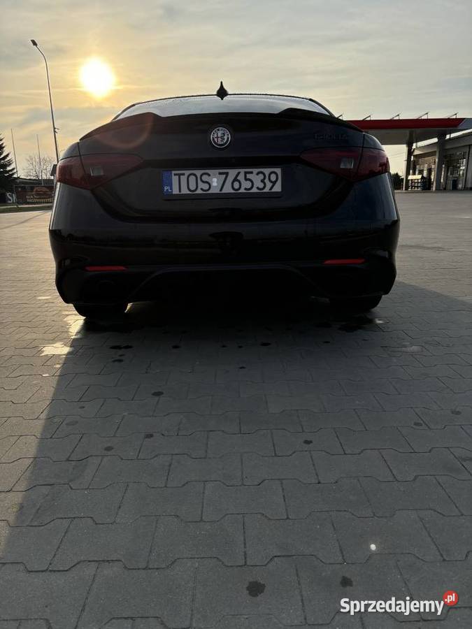 Alfa Romeo Giulia Giulia lubelskie Łukowa