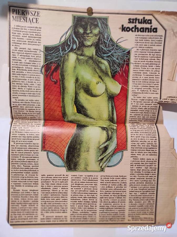 SZTUKA KOCHANIA MICHALINA WISLOCKA ARTYKULY sprzedam
