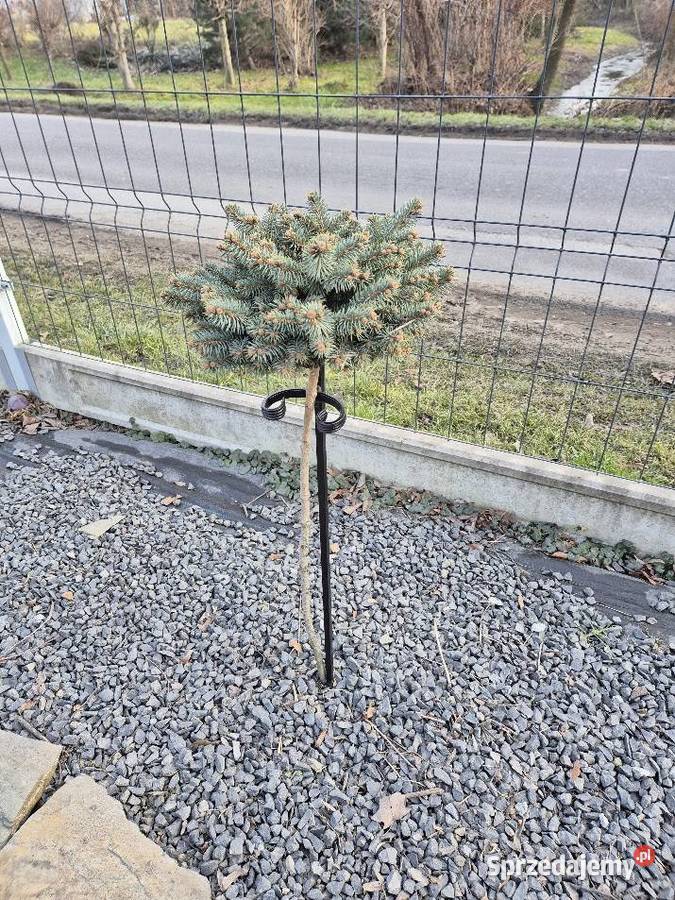 Podpora drzewek do ogrodu Ogród Ligota