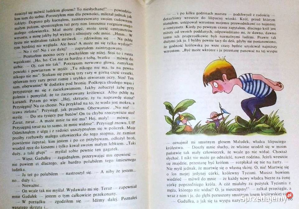 Gdzie jest Gadułek Waldemar Żelazny miękka Chełm sprzedam