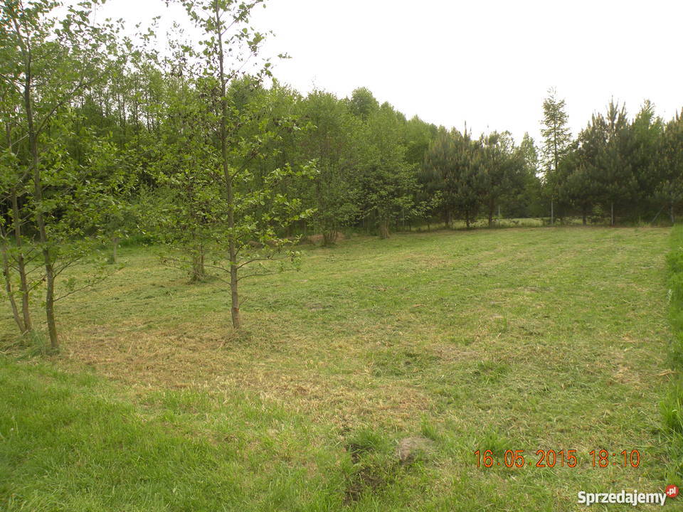 Działka rekreacyjna Zalewem Dębowy Las