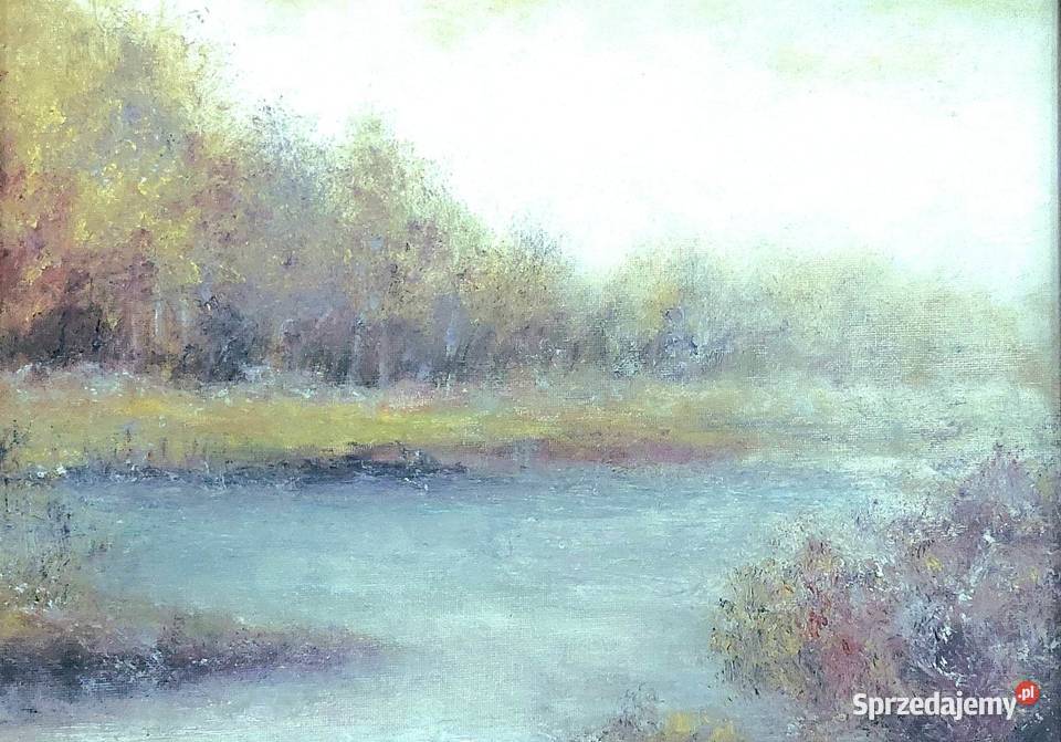 Biebrza Park Narodowy obraz 3040 Rama lubelskie Lublin sprzedam