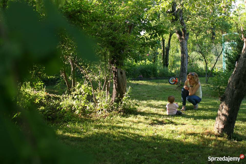 Ogródek działka ROD Zorza Śródmieście polna Wrocław
