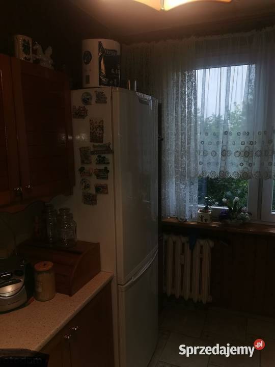 3pok 64met Drzewieckiego BALKONPIWNICAWINDA Liczba pokoi 3 dolnośląskie Wrocław sprzedam