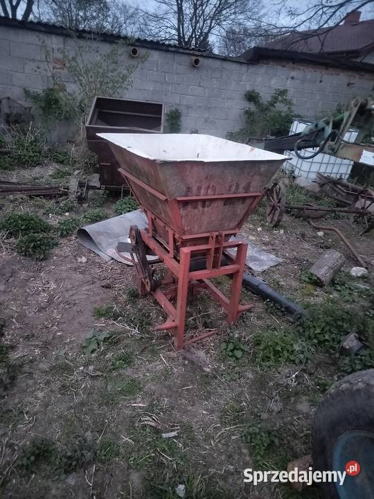 Motyl łódzkie Miłochniewice