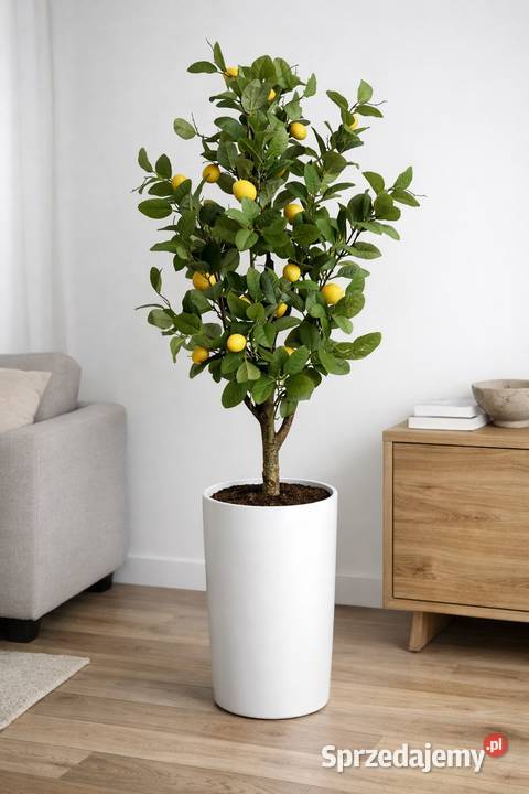 Sztuczna cytryna w doniczce Premium duża 120 małopolskie Nowy Sącz