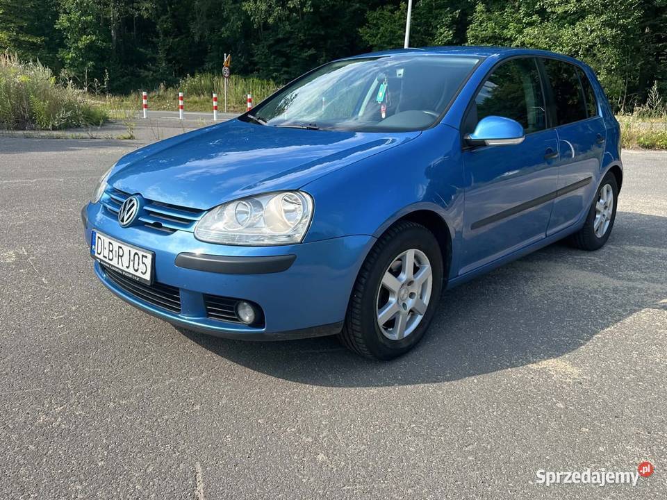 Volkswagen Golf V 2004 16 FSI 116 Zgorzelec