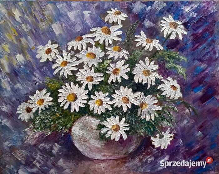 Obraz olejny Rumianki Lublin