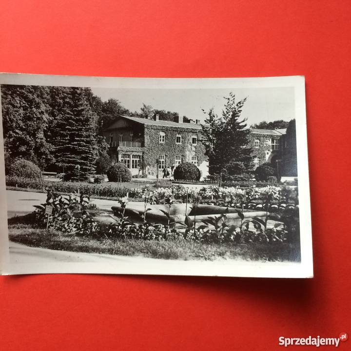 981 Widokówka BuskoZdrój Antykwariat zachodniopomorskie