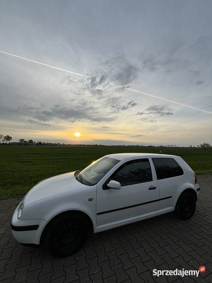Volkswagen Golf IV 14 LPG Biały benzyna+LPG Passat kujawsko-pomorskie