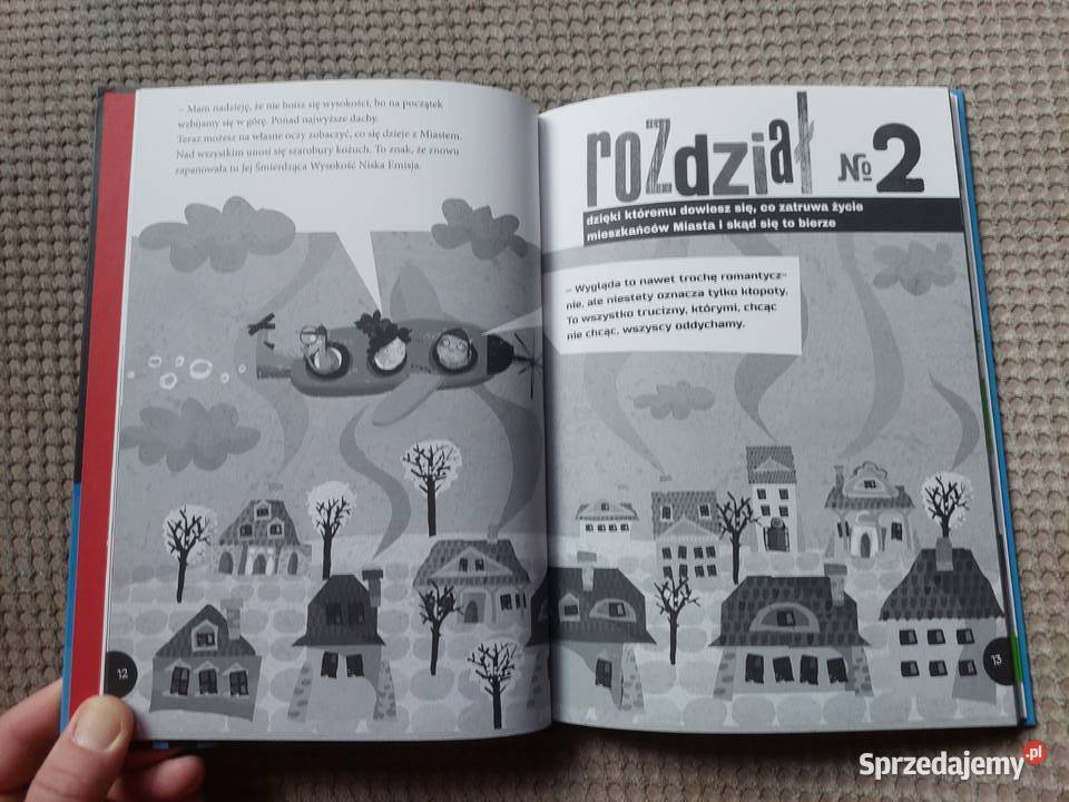 Skok na smog Dorota MajkowskaSzajer Rok wydania 2017 Kraków