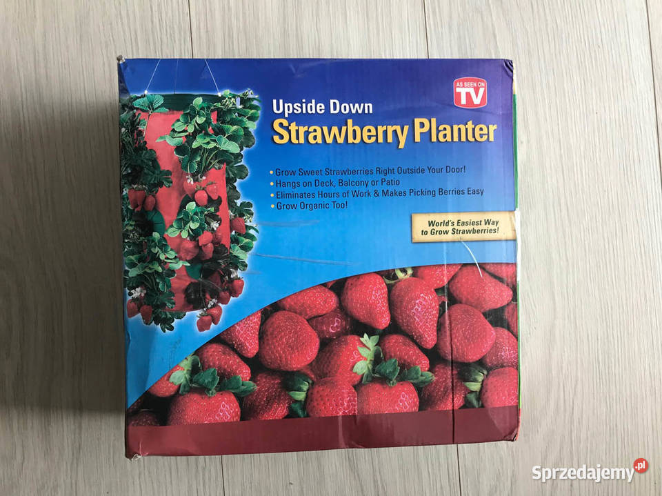 Blakonowa szklarnia pomidory truskawki Kielce sprzedam