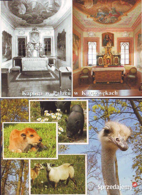 K Poczt Kurozwęki widoki 2 poz śląskie Gliwice