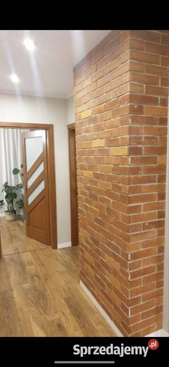 Cegła elewacyjna płytki ceglane stara cegła Płytki ścienne Kraków