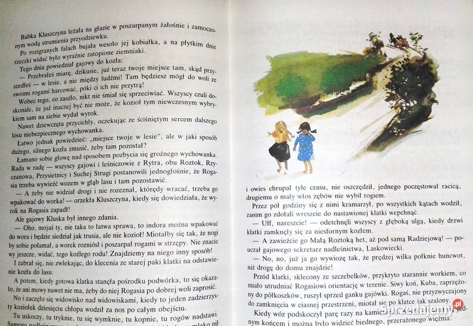 Rogaś z Doliny Roztoki Maria Kownacka miękka Kultura i Rozrywka lubelskie sprzedam