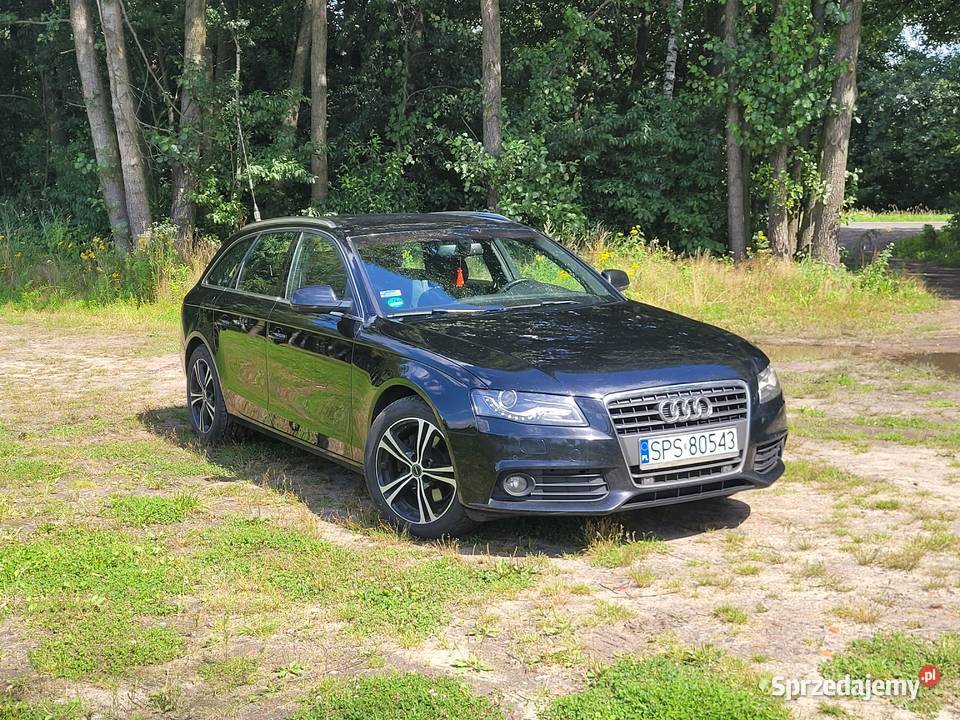 pierwszy wlasciciel stan Katowice