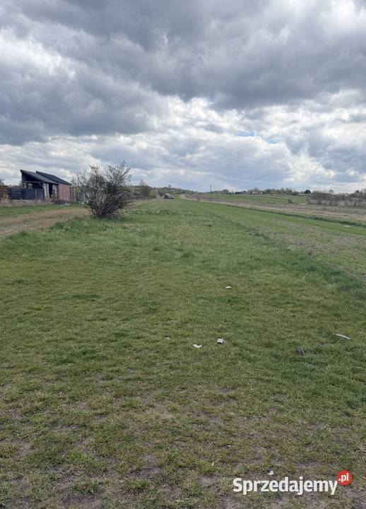 Działka rolna z potencjałem Żarki Sprzedaż śląskie