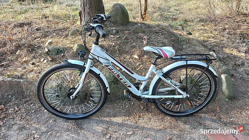 Alu Rower Młodzieżowy Dziecięcy Falter FX 421 Dziecięce Wołów