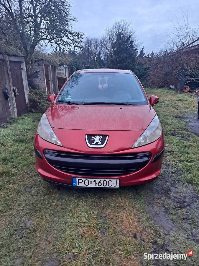 Peugeot 207 14