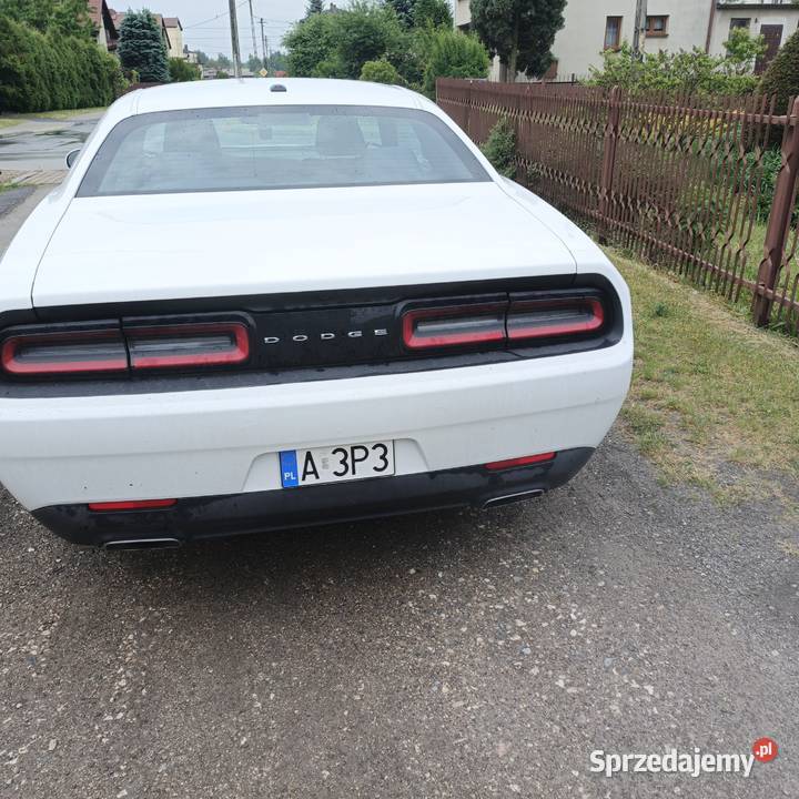 Dodge Challenger 36 SXT Challenger świętokrzyskie Końskie