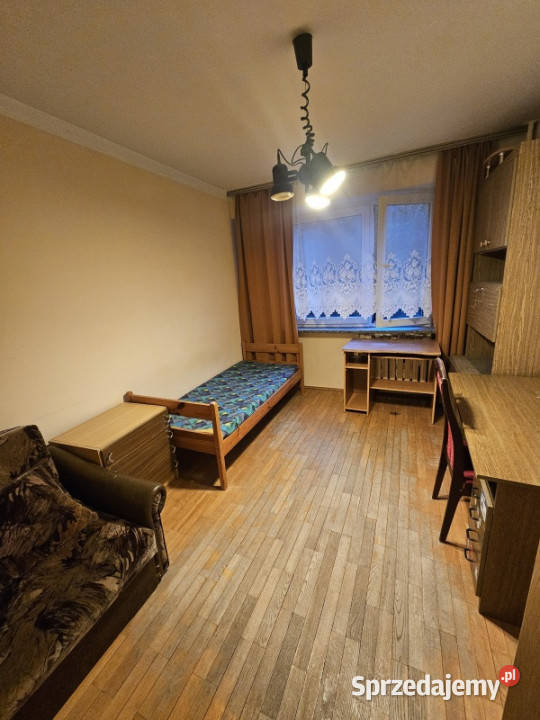 Bezpośrednio 4 pokoje i kuchnia 676 m Nowe Liczba pokoi 4 Rzeszów