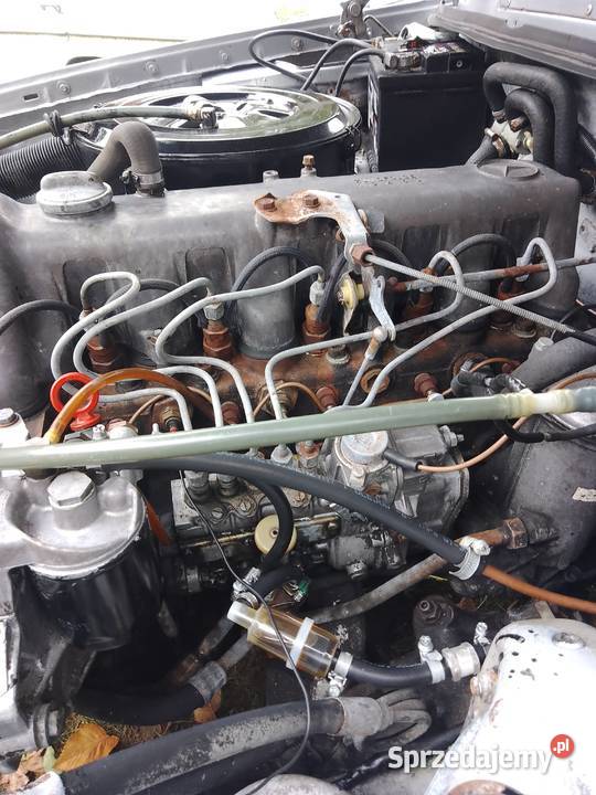 Mercedes 123 299600km Tłuszcz
