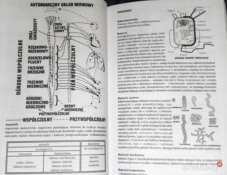Ilustrowany słownik biologiczny E J Gorzelańczyk Chełm