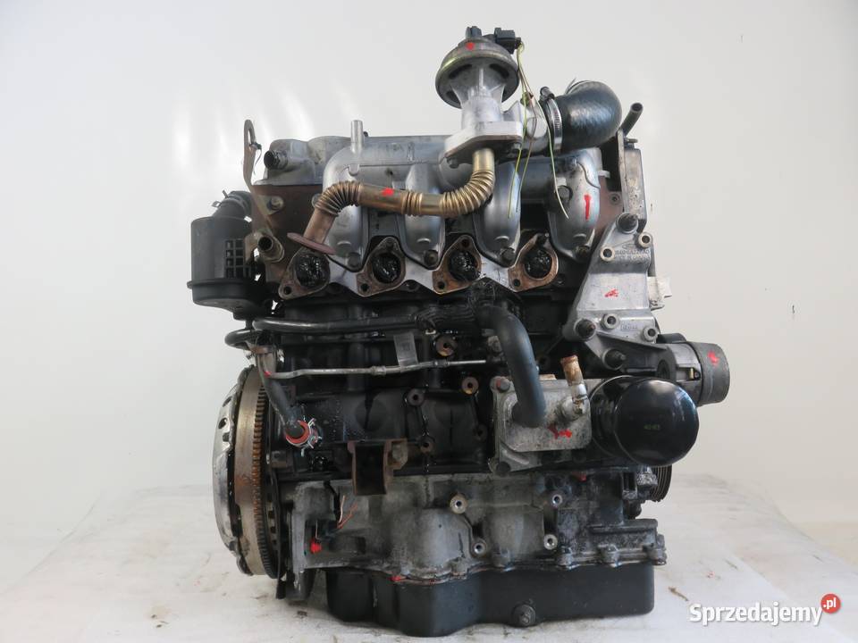 SILNIK FORD FOCUS MK1 18 TDDI C9DB 90 KOMPLETNY Motoryzacja