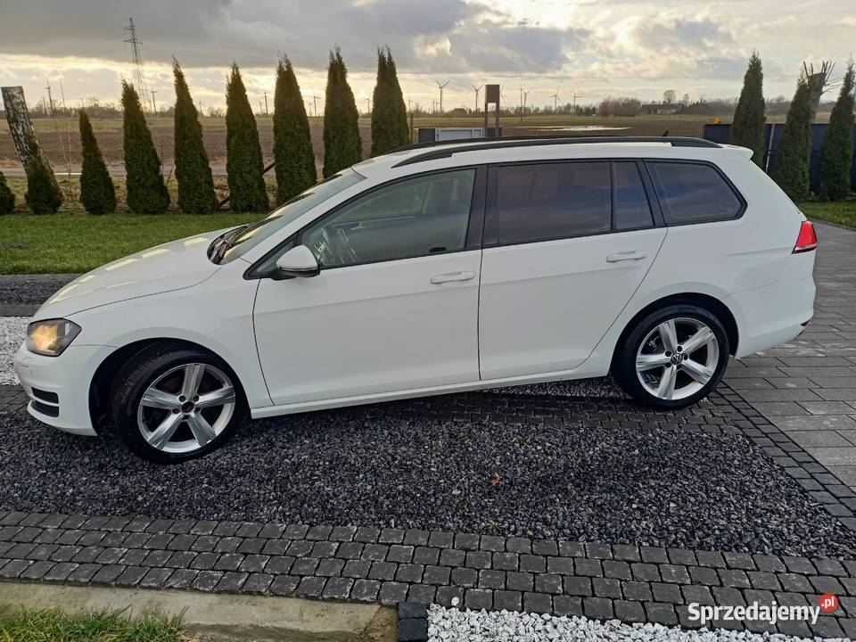 volkswagen golf 7 16 TDI Stegna