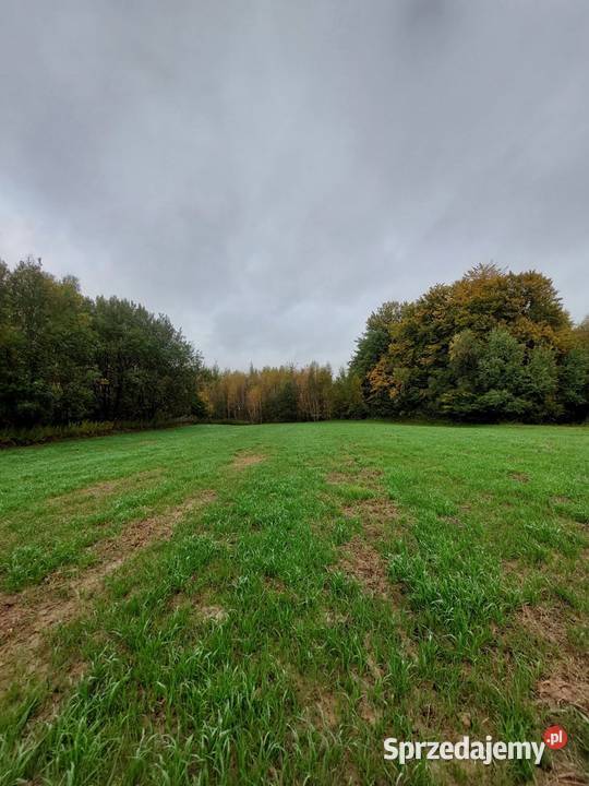 Sprzedam działkę rolną 119 ha Pstrągowa podkarpackie