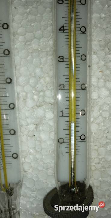 Termometr z włącznikiem 220V Łódź