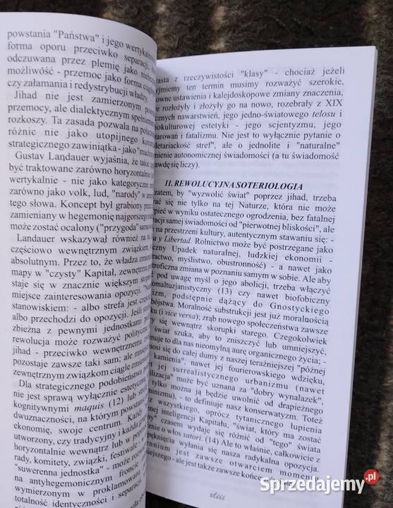 Millennium Hakim Bey filozofia, historia filozofii Bełchatów