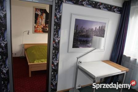 dom z ogródkiem garaże pomieszczenie gospodarcze wielkopolskie Poznań