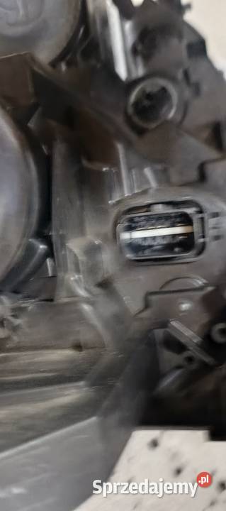 LAMPA RENAULT EXPRESS LEWA 260600331r Brześć Kujawski