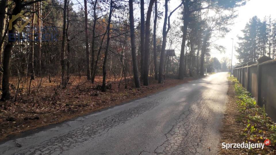 Sprzedam działkę budowlaną w Kuznocinie w gminie prąd Kuznocin sprzedam