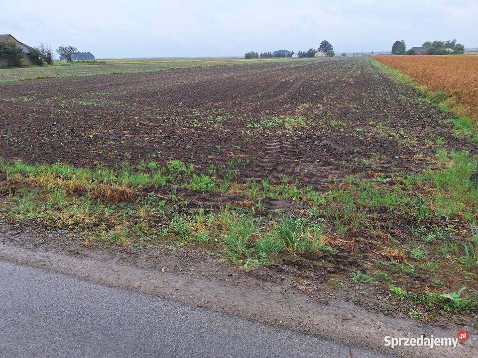 Działka budowlana Krzyżanówka gm Sienno 50000 m2