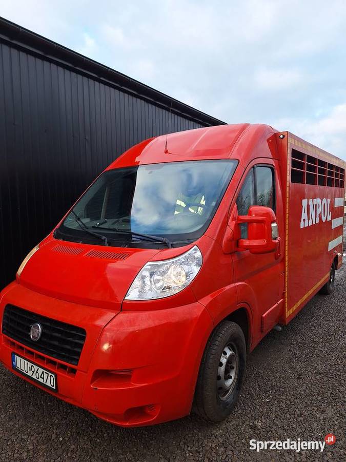 Fiat ducato 2010 Fiat Szyszki