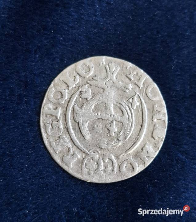 1 Półtorak Zygmunt III Waza Bydgoszcz 1624 Wejherowo