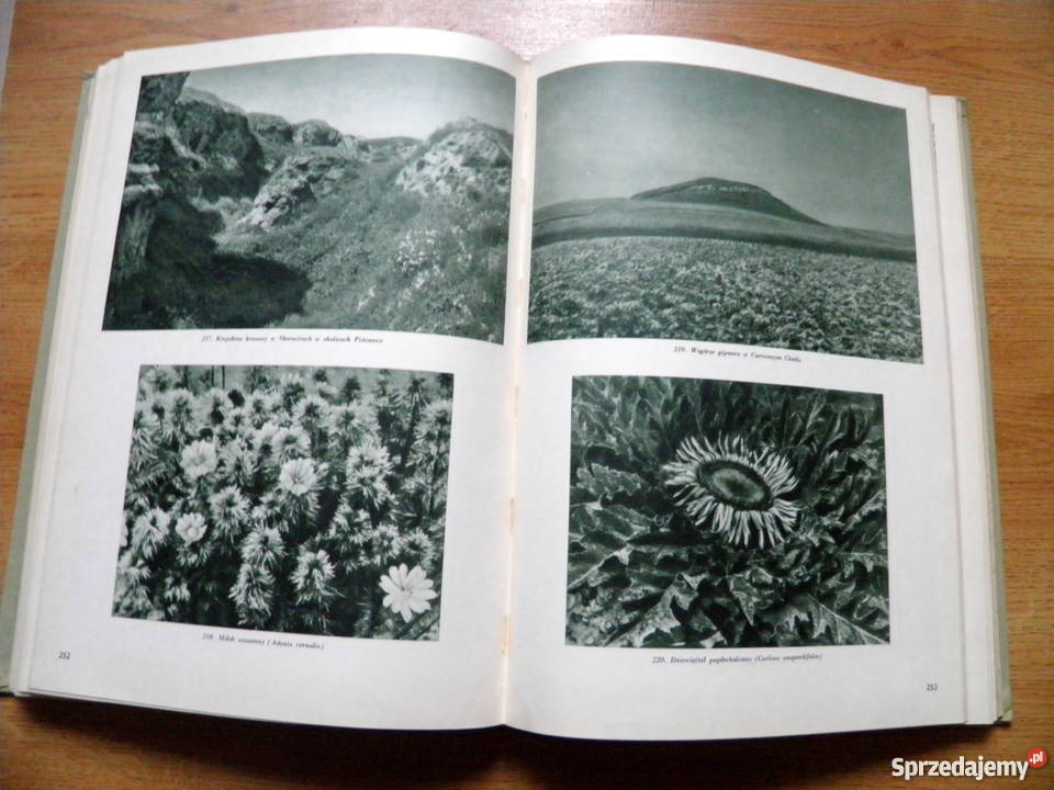 KRAJOBRAZY POLSKI i ich pierwotne fragmenty Przeworsk sprzedam