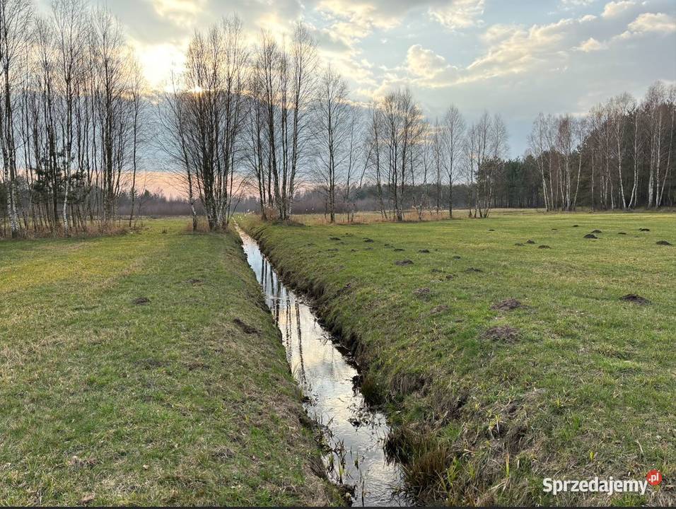 Działki 240 ha w Nagoszewie gm Ostrów Mazowiecka 24000m2 Nagoszewo