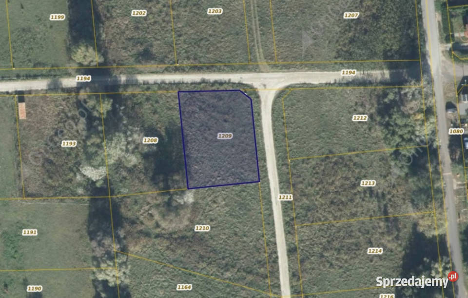 Działka 1209 w miejscowości Borówiec wielkopolskie Borowiec