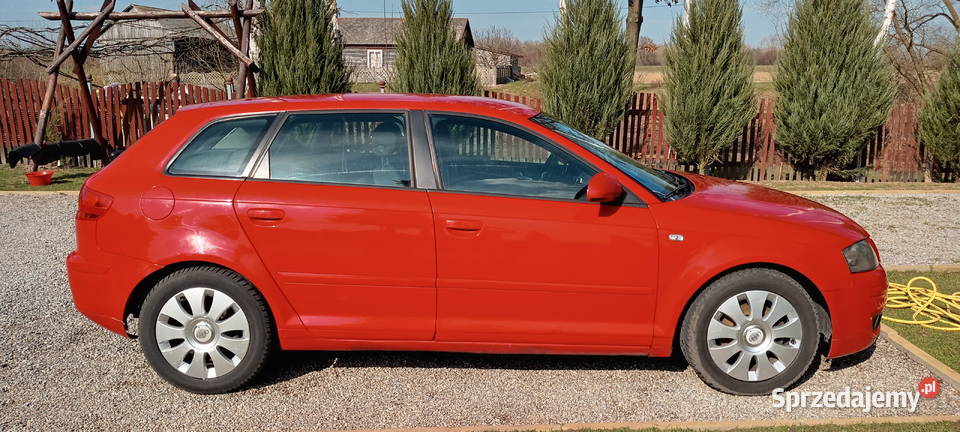 Audi A3 8P 20 TDI BMM kurtyny powietrzne A3 Kozienice