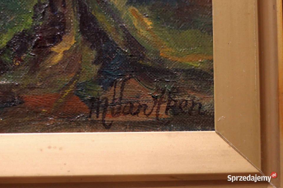 Van Aken pejzaż leśny Lubin