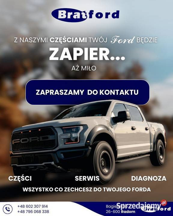 AMORTYZATOR FORD CUSTOM 2712815 PZ3118080DD dostawcze Radom